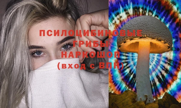 ПСИЛОЦИБИНОВЫЕ ГРИБЫ Вязники